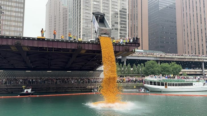Out of LEFF Field: The Duck Derby is peak visual storytelling