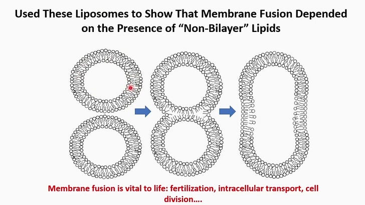 The Inventor of Lipid Nanoparticles Knew the mRNA Wouldn't Stay in Your Arm