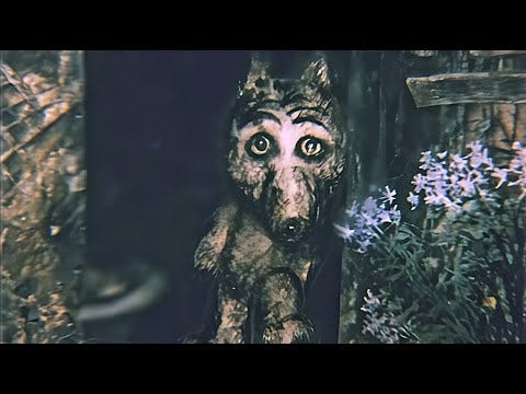 Donovan Street Press Inc.