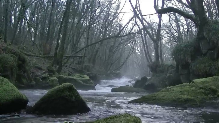 Real or Hoax? Ghost caught on camera in broad daylight by a Scottish River