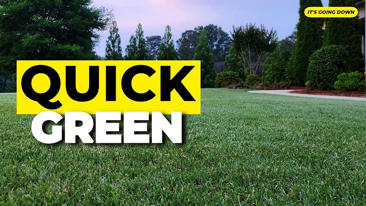 Get Green Grass FAST: Results in a Day!