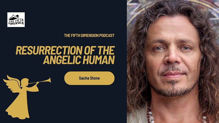 Resurrection of the Angelic Human - by Evan McDermod