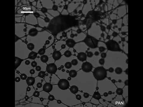 Polyacrylonitrile (PAN) Polyamide Nanofiber Mesh Looks Just Like What I See In The Live C19 Unvaccinated Blood Now And We Identified Polyamides In NIR Spectroscopy Chemical Functional Group Analysis