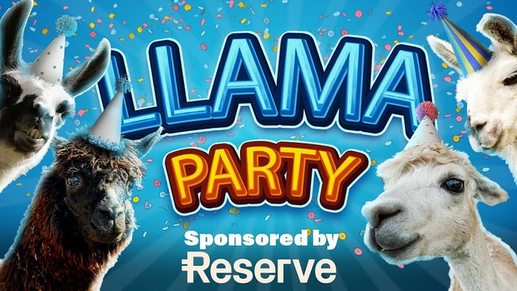 March 1, 2024: Llama Party IRL feat. Reserve 🦙🥳