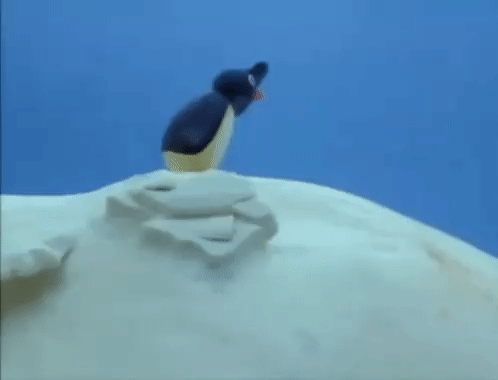 Pingu Search GIF