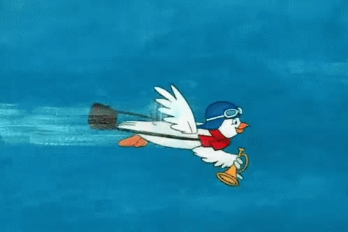 Yankee Doodle Pigeon Carrier Pigeon GIF