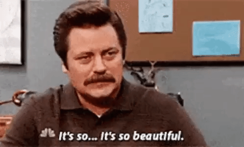 Ron Swanson Parks And Rec GIF