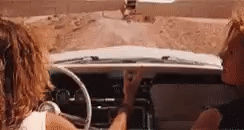 Thelma And Louise Vintage GIF