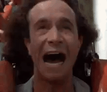 Pauly Shore Roller Coaster GIF