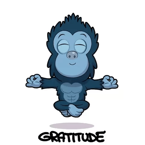 Gratitude GIF by GaryVee