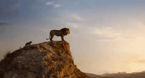 The Lion King Simba GIF by Walt Disney Studios