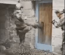 Army Soldier GIF
