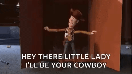 Woody Howdy GIF
