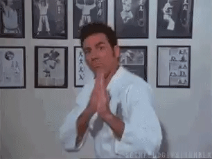Kramer Seinfeld Karate GIF
