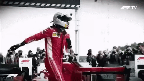 Vettel F1 GIF