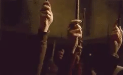 Harry Potter Raise Your Wand GIF